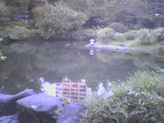 なんと池の水面には西早稲田パークタワーが映っている…